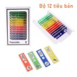 Bộ 12 mẫu tiêu bản đã qua xử lý dành cho kính hiển vi - Lam kính nhựa ABS